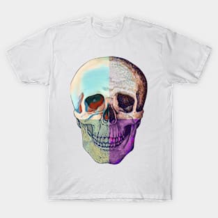 Instead of 1 Skull, it's 4 T-Shirt